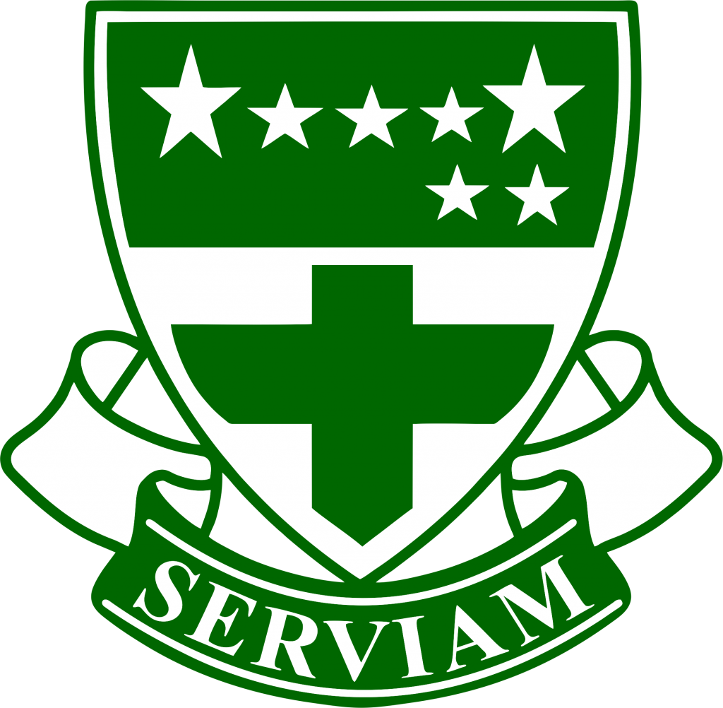 Logo Serviam